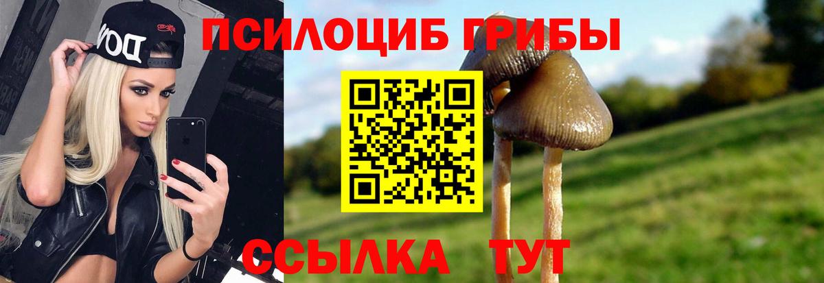 Галлюциногенные грибы Magic Shrooms Чебоксары